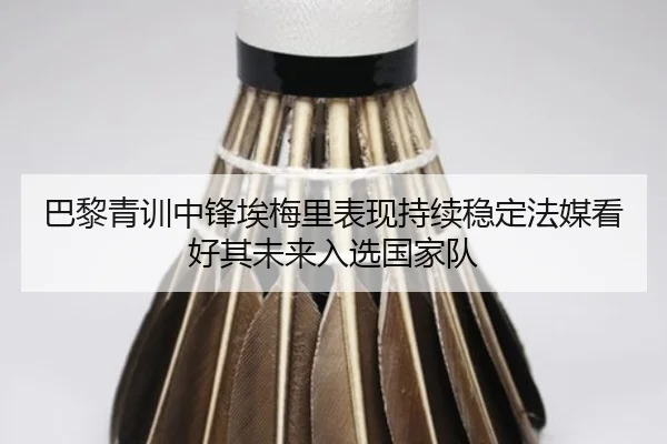 巴黎青训中锋埃梅里表现持续稳定法媒看好其未来入选国家队